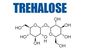 Trehalose-Dihydrat-Süßstoff-kristallener Pulver USP-Grad 6138-23-4